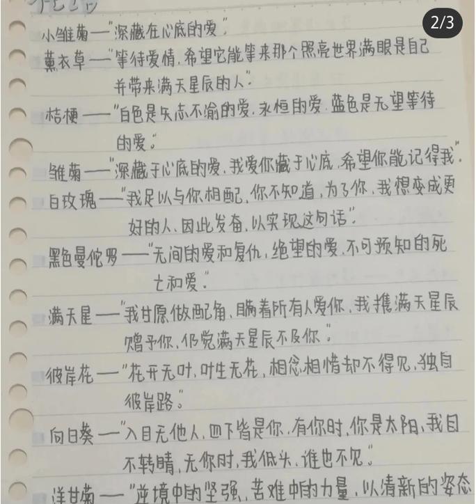 爱的雨夜花语代表什么？它传递了怎样的情感？
