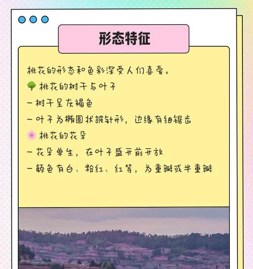 桃花长什么样？桃花的形态特征和种植要点是什么？