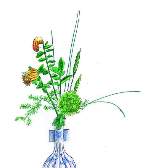 常用的插花配草有哪些？它们的名称是什么？
