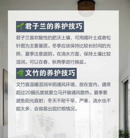 哪些君子兰品种最为名贵？如何鉴别和养护？