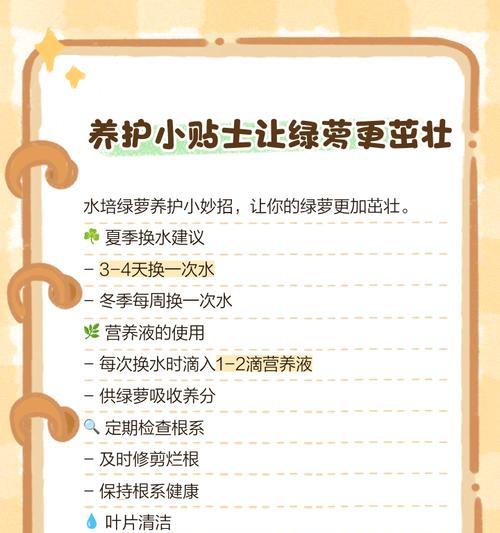 水培绿萝移栽土培的步骤是什么？移栽后如何管理？