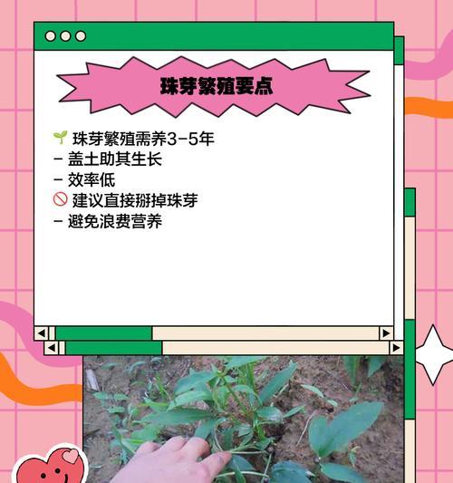 花卉快速繁殖有哪些方法？
