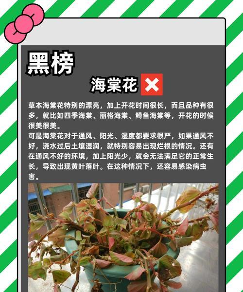 酸性花卉的种类有哪些？如何正确养护？