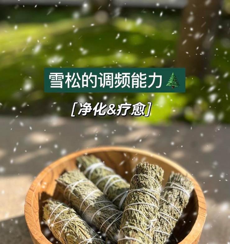 雪松繁殖方法有哪些？