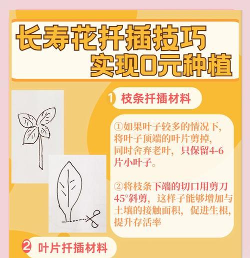 金鱼花怎么扦插？扦插过程中需要注意什么？