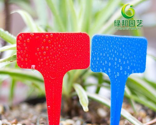 花卉标签的制作技巧是什么？如何制作美观的花卉标签？