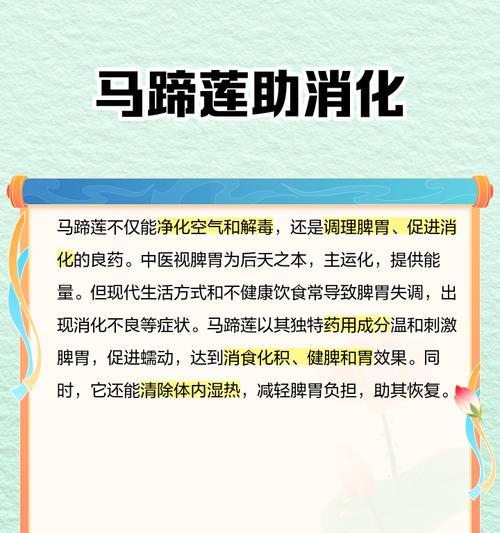 马蹄莲冬季的养护要点是什么？如何确保马蹄莲安全过冬？