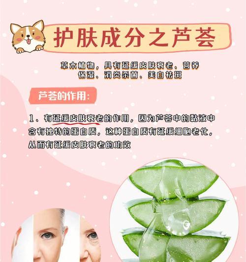 种植芦荟有什么好处？芦荟的多种用途是什么？