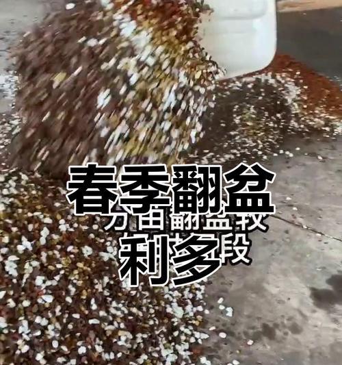 兰花怎么换土？换土的最佳时间和步骤是什么？