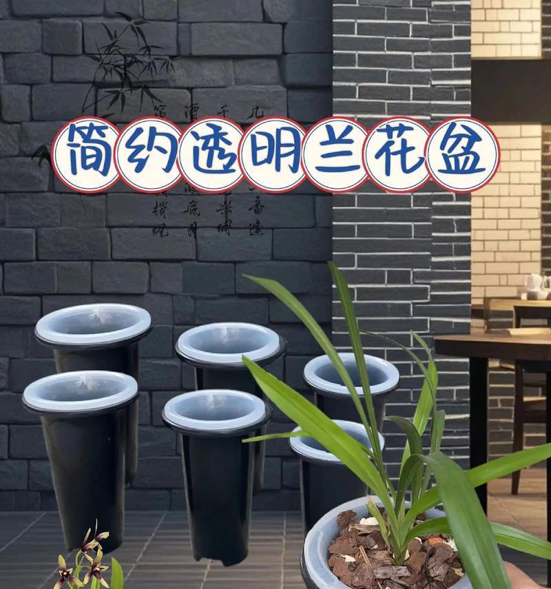 种植兰花应该选择什么样的盆？如何选择合适的材质？