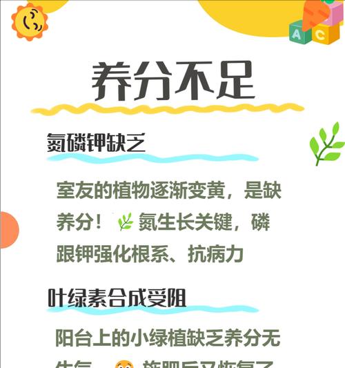 绿钻叶子发黄怎么办？绿钻植物叶子变黄的原因及处理方法？