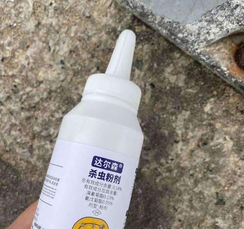 如何清除花盆中的蚂蚁？有效驱除蚂蚁的方法有哪些？