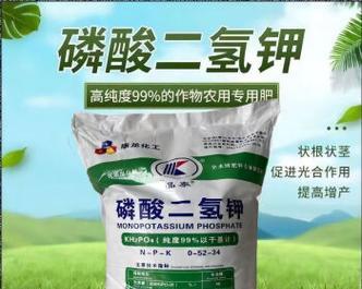 花里放什么长的好？哪些肥料适合花卉生长？