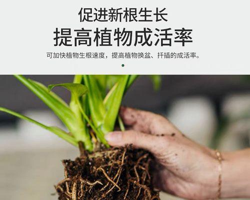花里放什么长的好？哪些肥料适合花卉生长？