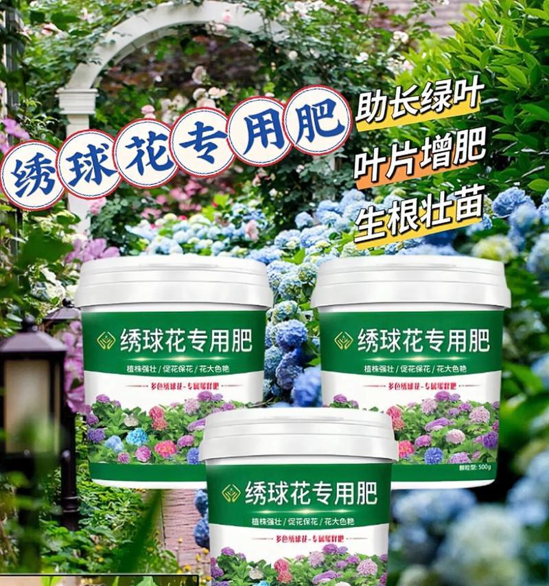 绣球花施肥的正确方法是什么？多久施肥一次？
