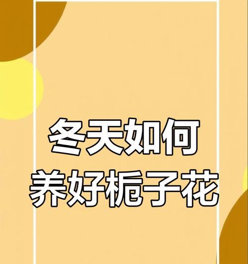 栀子花冬天怎么养？有哪些注意事项？
