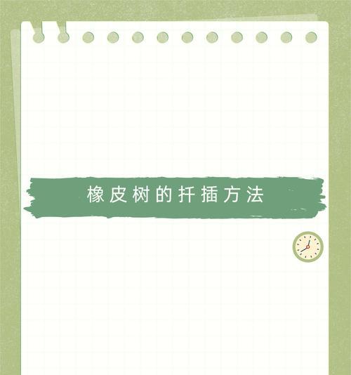 橡皮树扦插的最佳时机和步骤是什么？