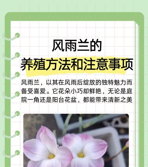 对对红怎么养？如何保持其鲜艳的颜色？