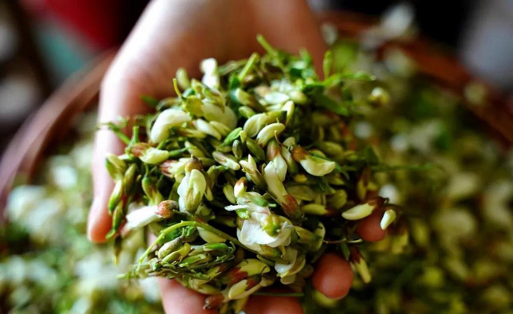 槐花的开花时间是什么时候？如何促进槐花更好地开花？