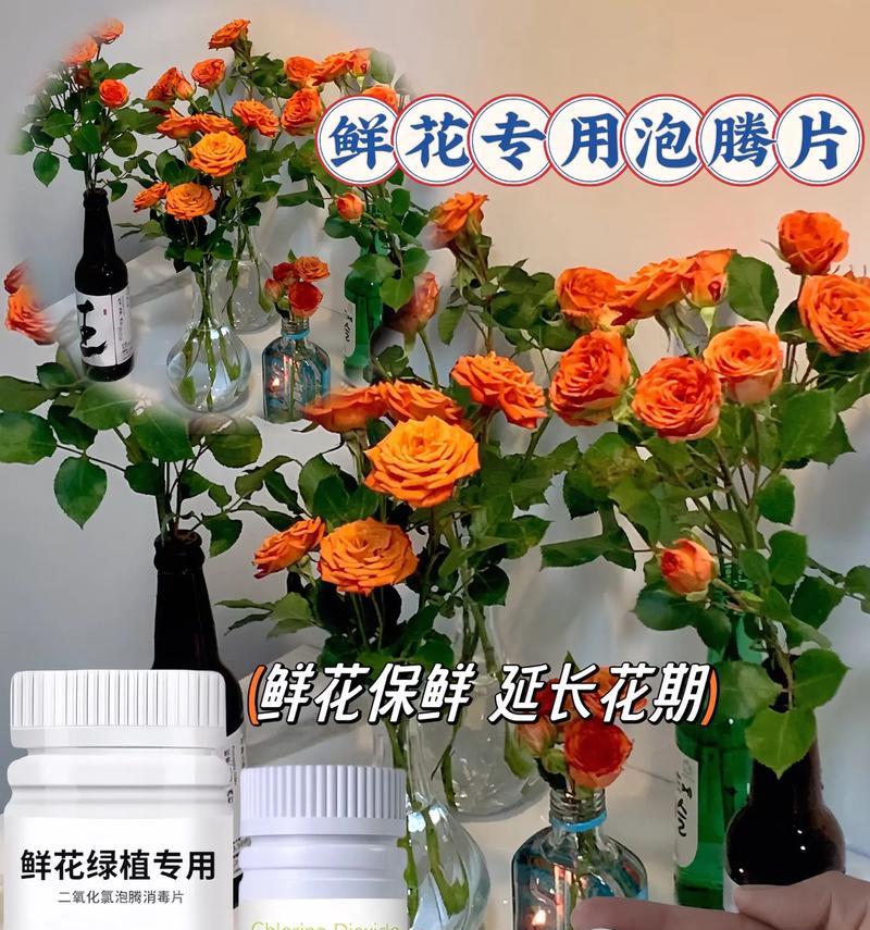 如何延长鲜花花期？有哪些有效的方法？