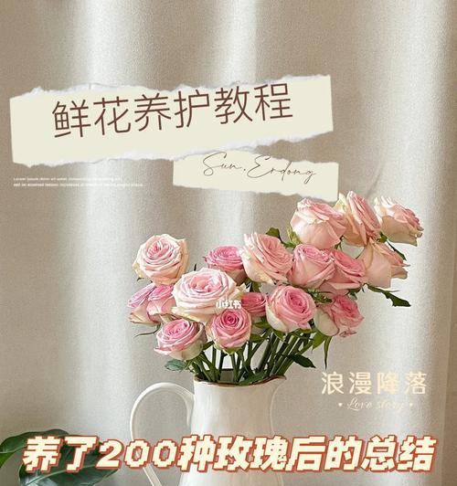 如何延长鲜花花期？有哪些有效的方法？