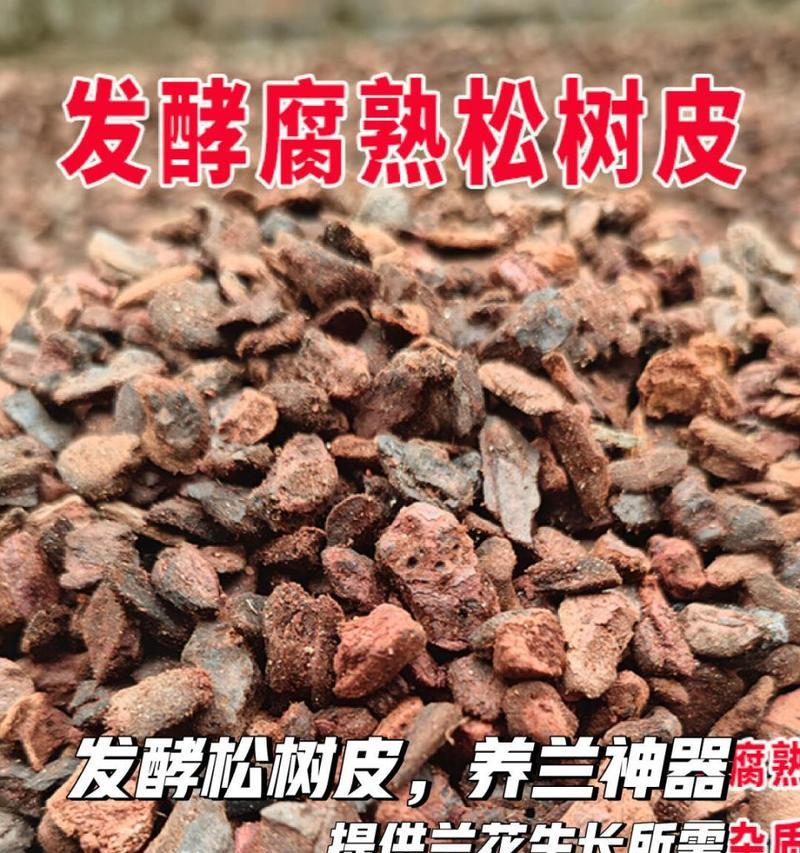 兰花专用松树皮怎么使用？有哪些注意事项？