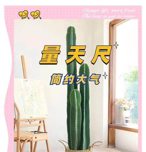 仙人掌换盆的最佳时机是什么时候？换盆后如何护理？
