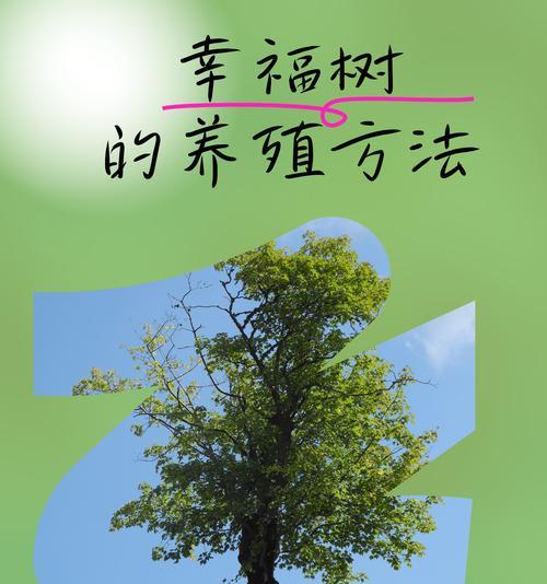 幸福树需要什么肥料？如何正确施肥以促进其生长？