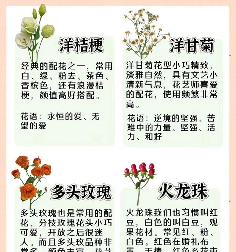 满天星有哪些不同的种类？