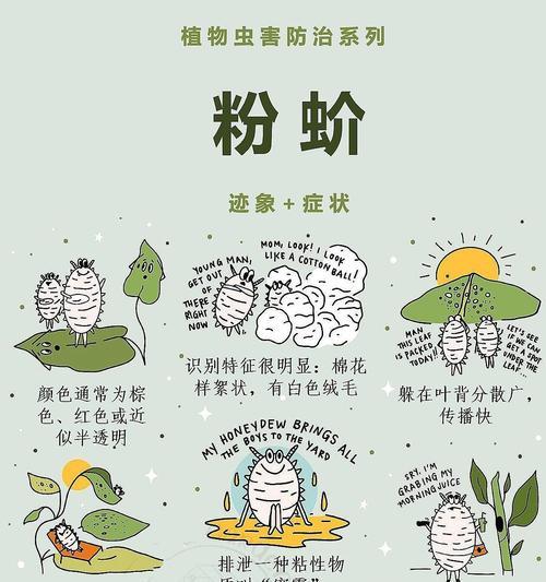 蚧壳虫的传播途径有哪些？如何预防？