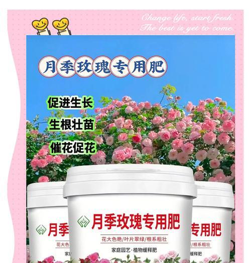 给花施肥有哪些技巧？怎样施肥更科学？