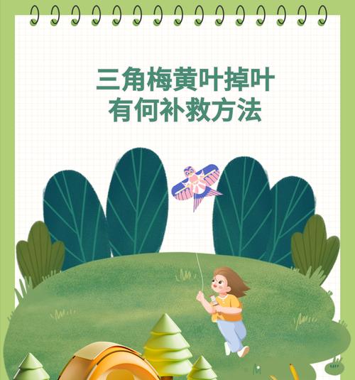 花色变绿是什么原因？如何调整土壤和光照？