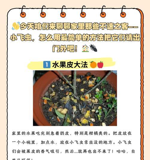 仙客来生虫怎么办？如何防治仙客来的虫害？