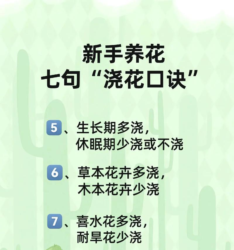 哪些花卉最适合初学者种植？它们的养护要点是什么？