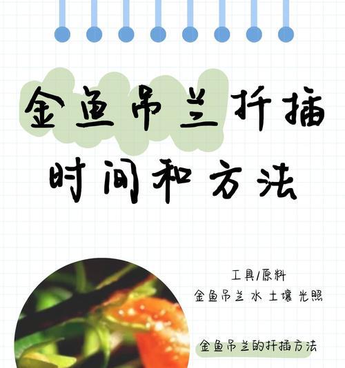 植物修剪的最佳时机和方法是什么？