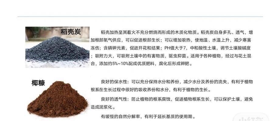 石生花的种植步骤和技巧是什么？