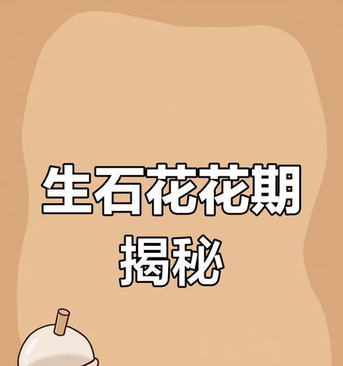 石生花的种植步骤和技巧是什么？