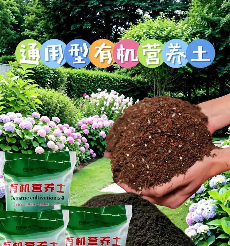 种花需要什么土？不同花卉对土壤的要求有何不同？