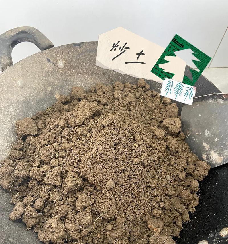 种花需要什么土？不同花卉对土壤的要求有何不同？