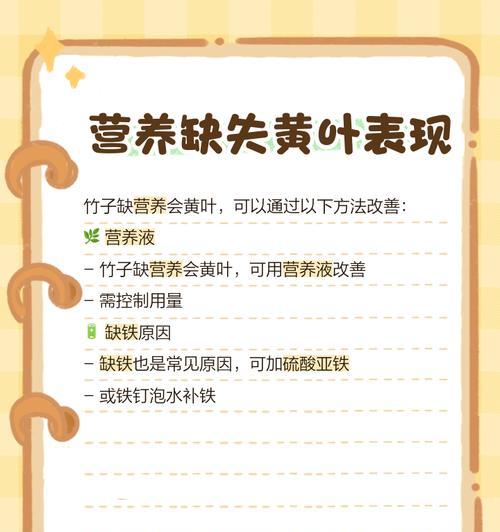 竹子叶片发黄是什么原因？如何解决竹子黄叶问题？