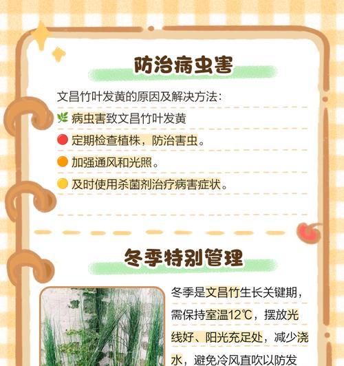 竹子叶片发黄是什么原因？如何解决竹子黄叶问题？
