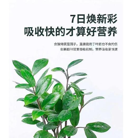 盆栽叶子发黄怎么办？如何诊断和解决？