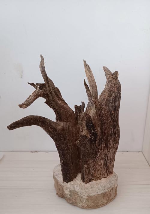 哪些树根适合制作盆景？如何挑选合适的树根？