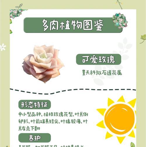 玫瑰花怎么种？从种子到开花的完整种植指南是什么？