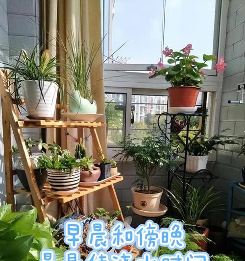 中午浇水对花卉有什么影响？最佳浇水时间是什么时候？