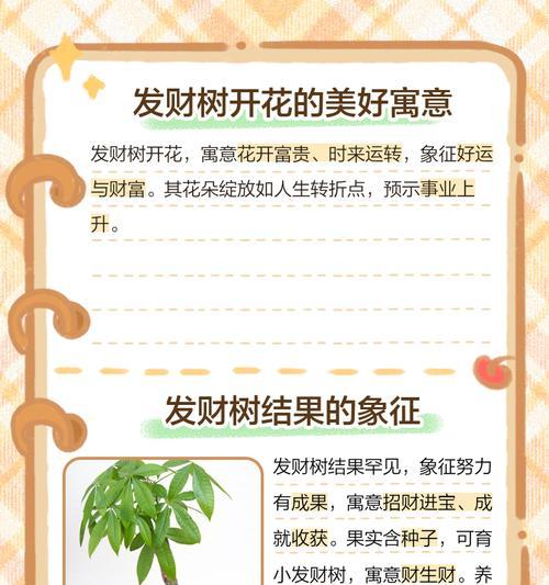 发财树果实如何种植？正确的步骤是什么？