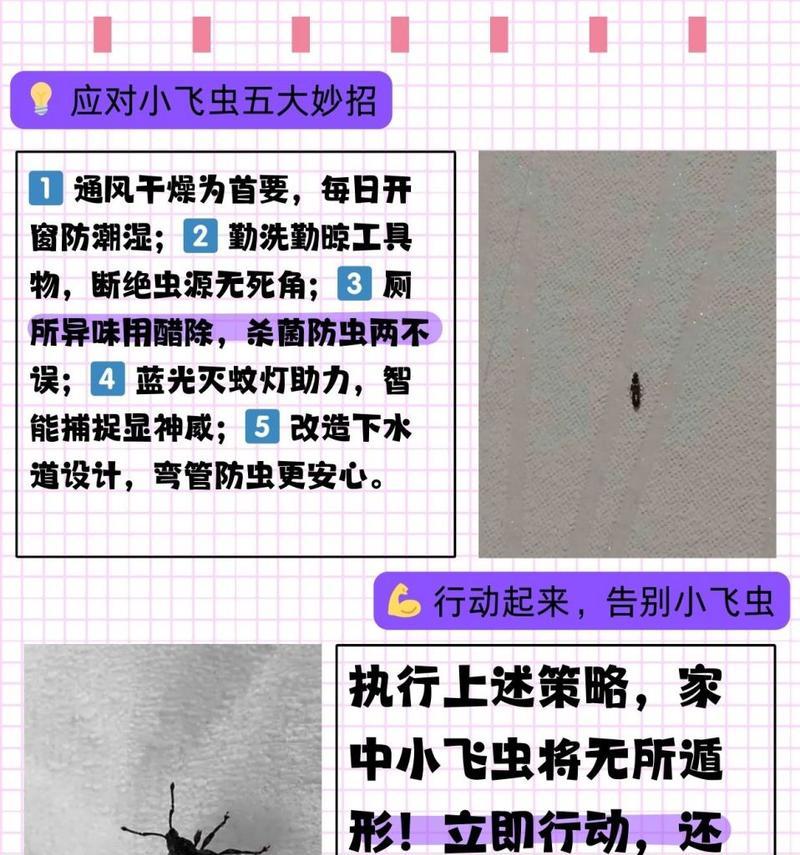 小黑飞入侵植物怎么办？有效防治小黑飞的方法有哪些？