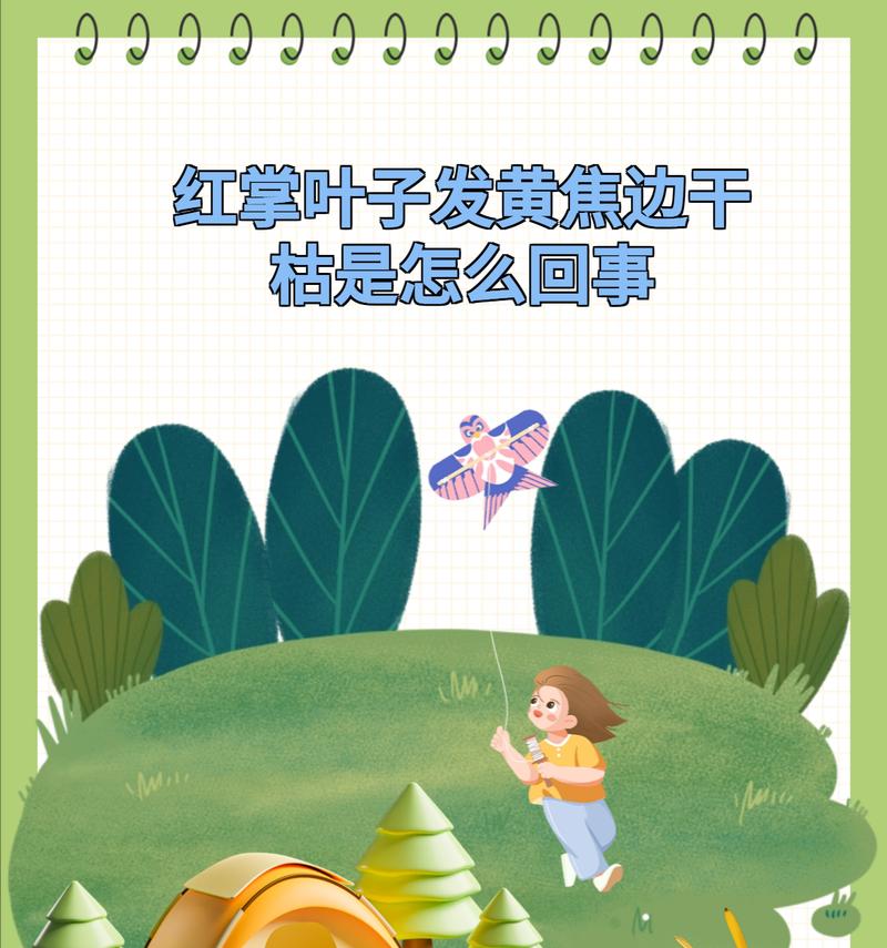 对红叶子发黄是什么原因？如何处理和预防叶子变黄？