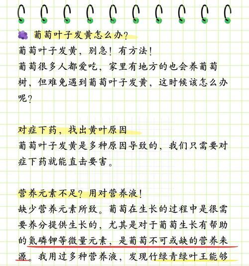 对红叶子发黄是什么原因？如何处理和预防叶子变黄？