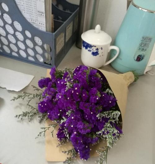 勿忘我鲜花保存方法是什么？能保存多久？